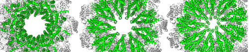New tool enhancing Nobel Prize-winning AlphaFold